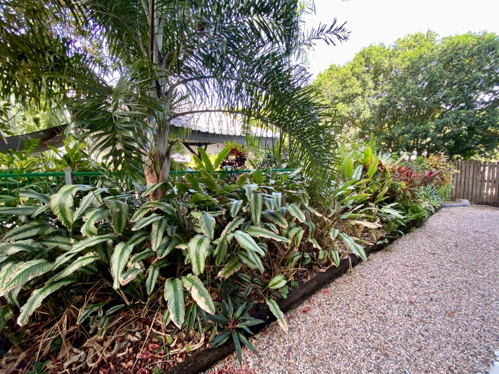 Reef Gateway Apartments Cairns Esterno foto